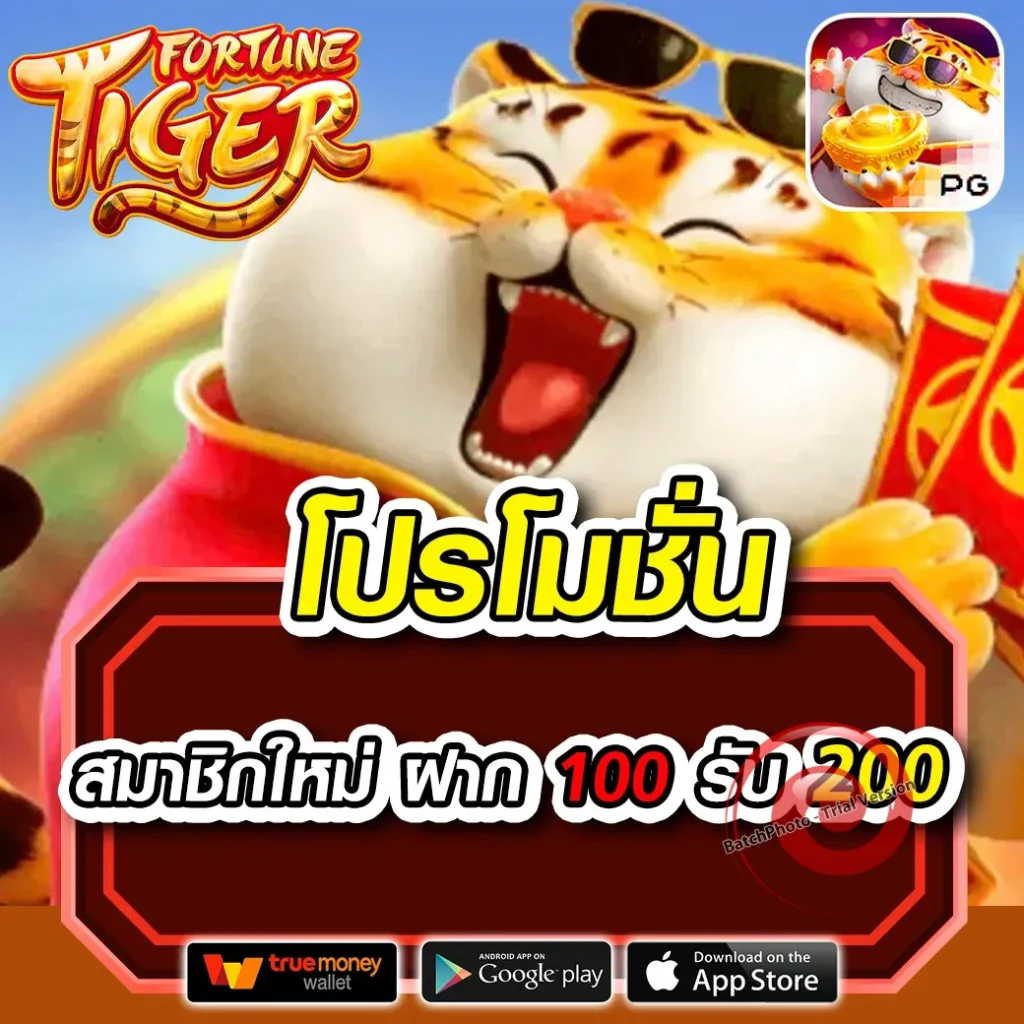ไมอามี่ 999 เว็บสล็อต